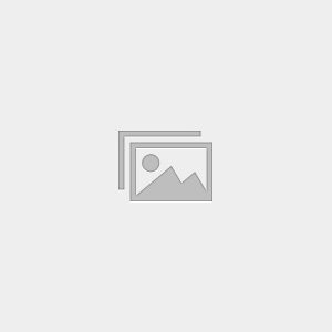Academic Reading Mock Test
